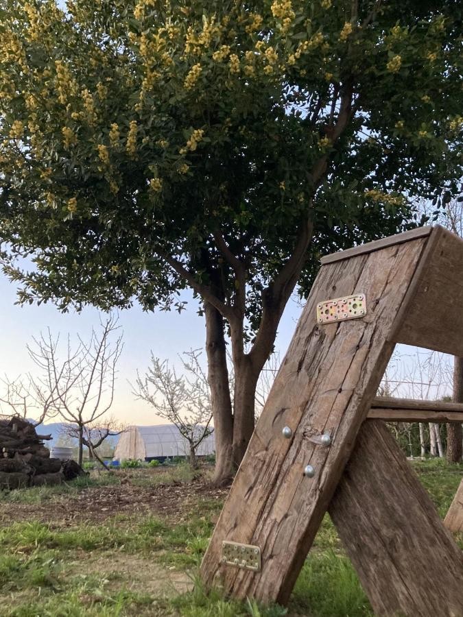 Casa De L'Hort - Els Valentins Villa Bagian luar foto